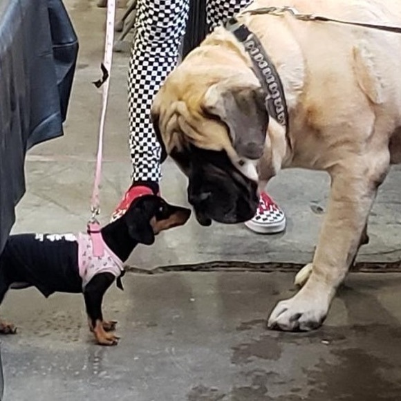 Meet your Posher, Jaimee - Picture 12 of 15